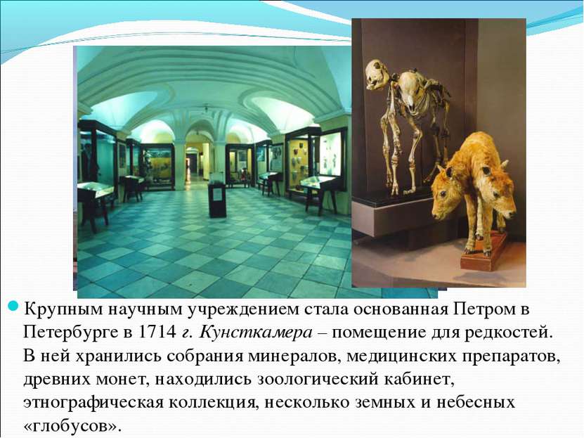 Крупным научным учреждением стала основанная Петром в Петербурге в 1714 г. Ку...