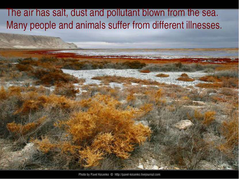 The air has salt, dust and pollutant blown from the sea. Many people and anim...