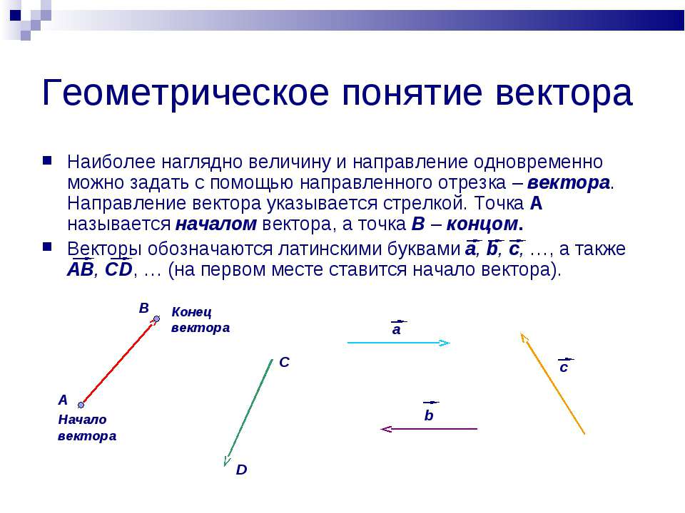 Векторная величина объем. Понятие вектора. Векторные величины. Векторные величины в геометрии. Геометрические понятия.