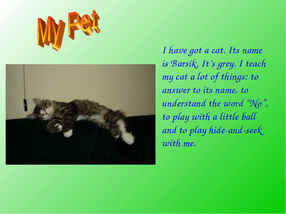 Cat s name is. Проект my favourite animal. Рассказ о домашнем животном на английском. Рассказ про кошку на английском. Проекты на тему my Pet.