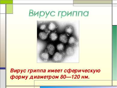 Вирус гриппа имеет сферическую форму диаметром 80—120 нм.