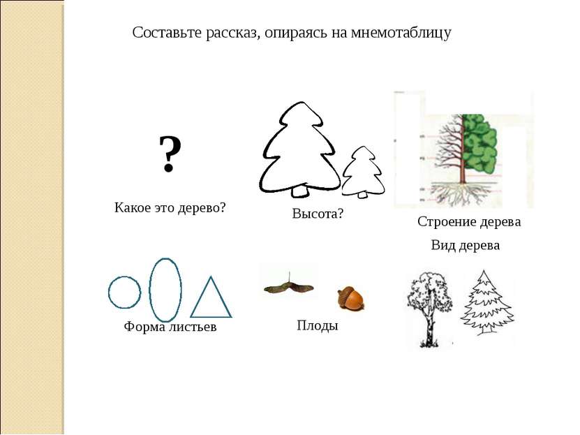 Составьте рассказ, опираясь на мнемотаблицу Строение дерева ? Какое это дерев...