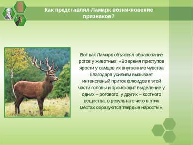 Как представлял Ламарк возникновение признаков? Вот как Ламарк объяснял образ...