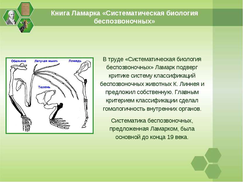 Книга Ламарка «Систематическая биология беспозвоночных» В труде «Систематичес...