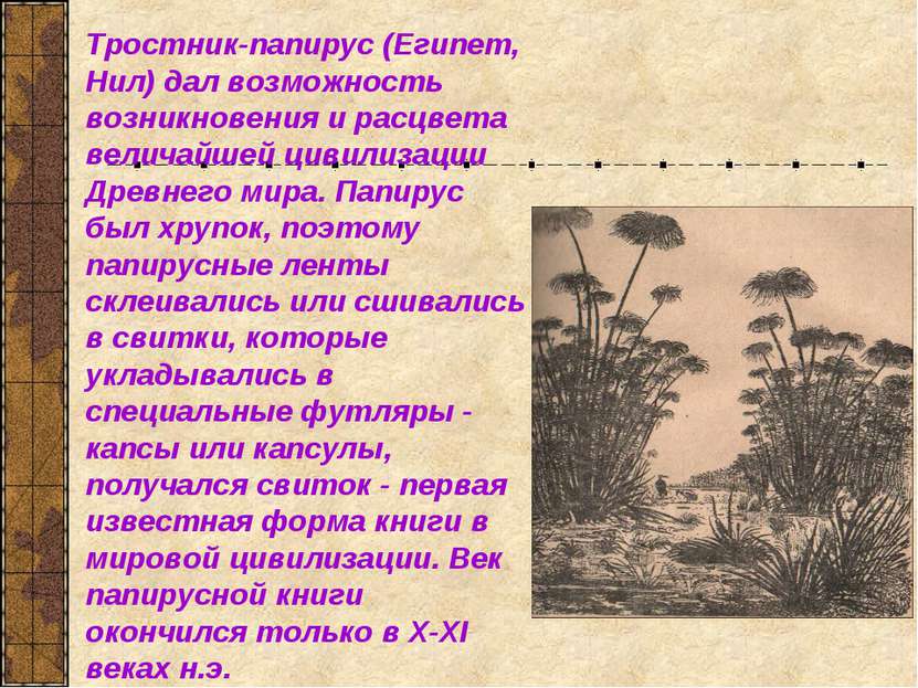 Тростник-папирус (Египет, Нил) дал возможность возникновения и расцвета велич...
