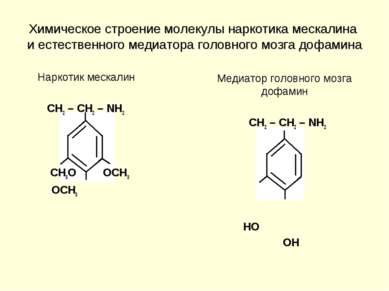 Химическое строение молекулы наркотика мескалина и естественного медиатора го...