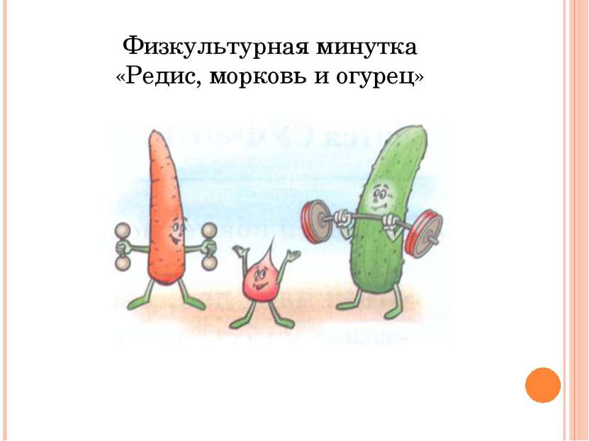 Физкультурная минутка «Редис, морковь и огурец»