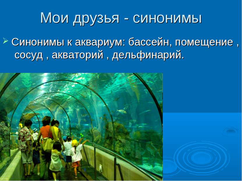 Мои друзья - синонимы Синонимы к аквариум: бассейн, помещение , сосуд , акват...