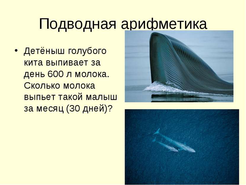 Подводная арифметика Детёныш голубого кита выпивает за день 600 л молока. Ско...