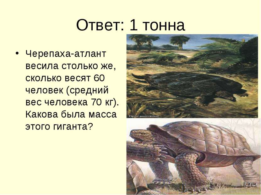 Ответ: 1 тонна Черепаха-атлант весила столько же, сколько весят 60 человек (с...