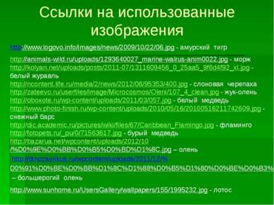 http://www.logovo.info/images/news/2009/10/22/06.jpg - амурский тигр http://a...