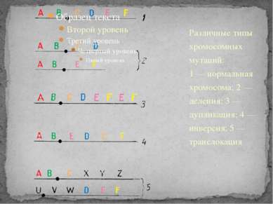 Различные типы хромосомных мутаций: 1 — нормальная хромосома; 2 — деления; 3 ...