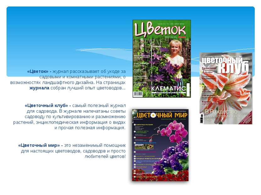 «Цветок» - журнал рассказывает об уходе за садовыми и комнатными растениями, ...