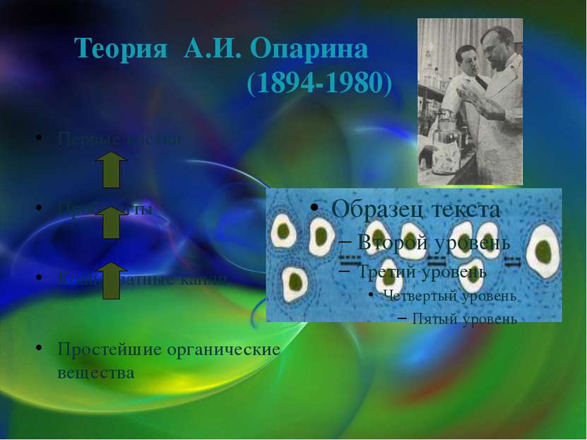 Теория А.И. Опарина (1894-1980) Первые клетки Пробионты Коацерватные капли Пр...