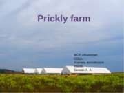 PRICKLY FARM