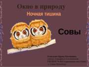 Совы