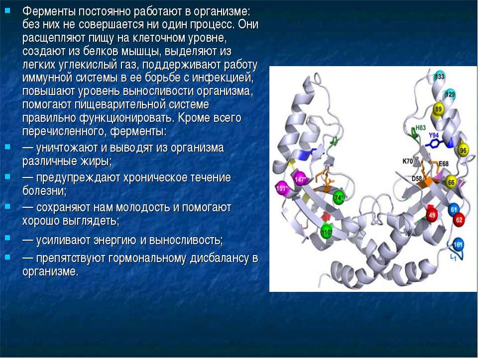 Какой фермент способен расщеплять пептиды