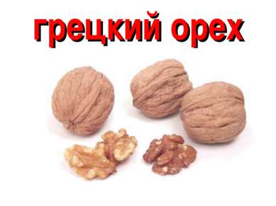 грецкий орех