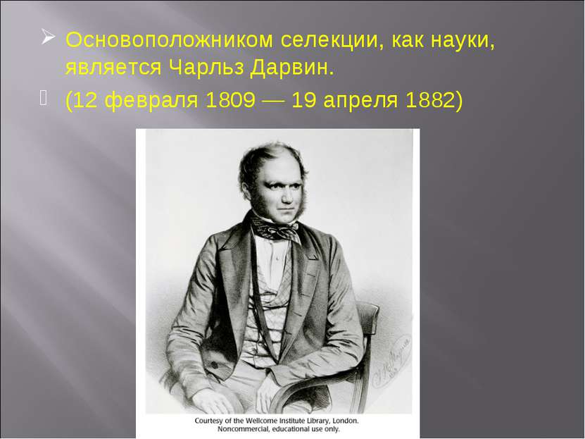 Основоположником селекции, как науки, является Чарльз Дарвин. (12 февраля 180...