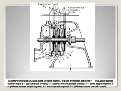 Схематический продольный разрез активной турбины с тремя ступенями давления: ...
