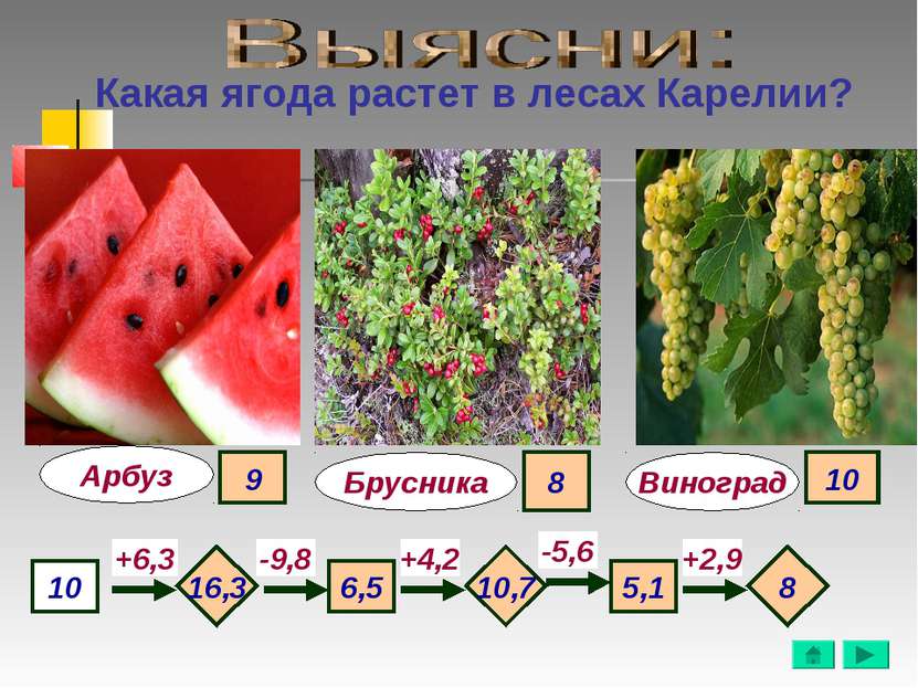 Какая ягода растет в лесах Карелии? Арбуз Виноград 10 +6,3 -9,8 +4,2 -5,6 +2,...