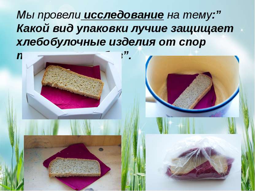 Мы провели исследование на тему:” Какой вид упаковки лучше защищает хлебобуло...