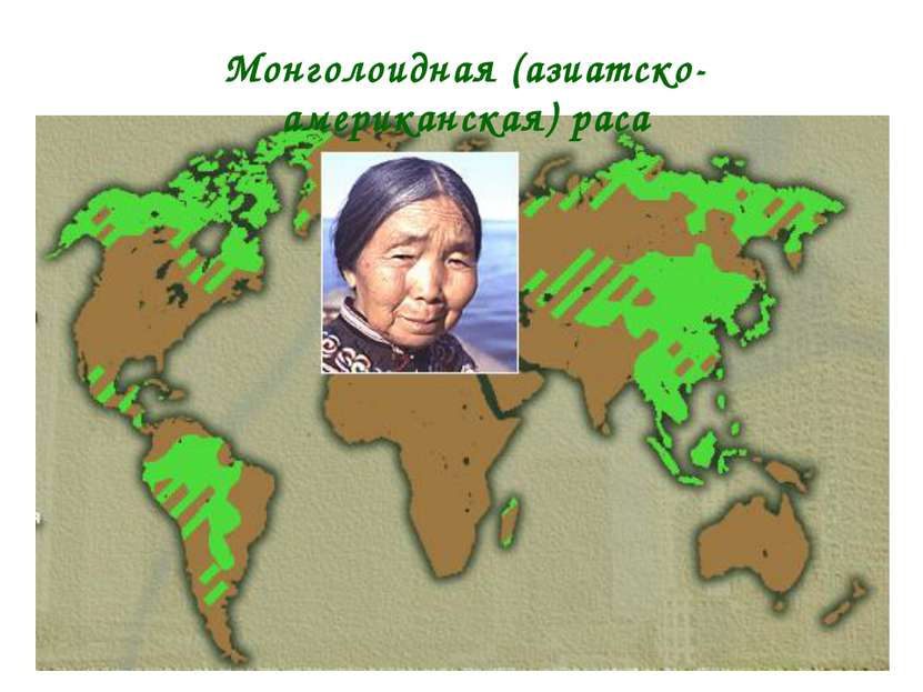 * Монголоидная (азиатско-американская) раса