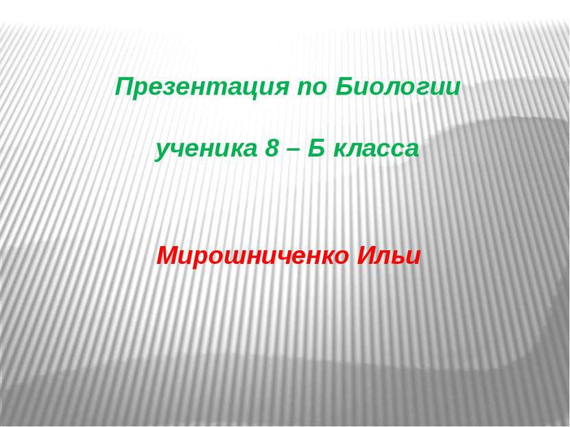 Презентация по Биологии ученика 8 – Б класса Мирошниченко Ильи