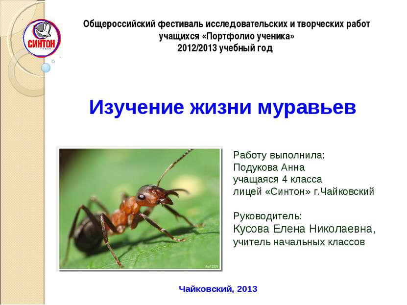 Презентация о муравьях