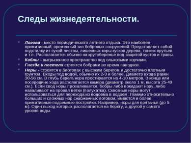 Следы жизнедеятельности. Логова - место периодического летнего отдыха. Это на...