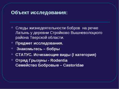 Объект исследования: Следы жизнедеятельности бобров на речке Латынь у деревни...