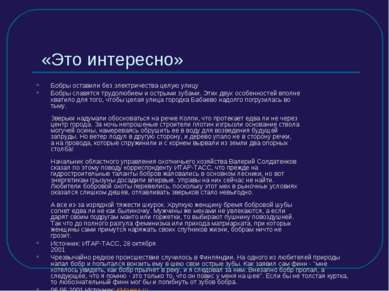 «Это интересно» Бобры оставили без электричества целую улицу Бобры славятся т...