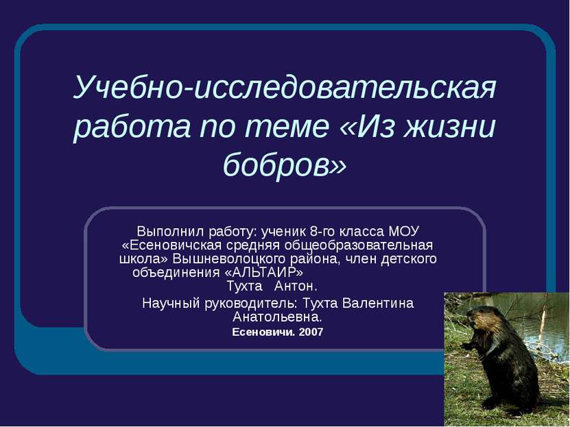 Учебно-исследовательская работа по теме «Из жизни бобров» Выполнил работу: уч...