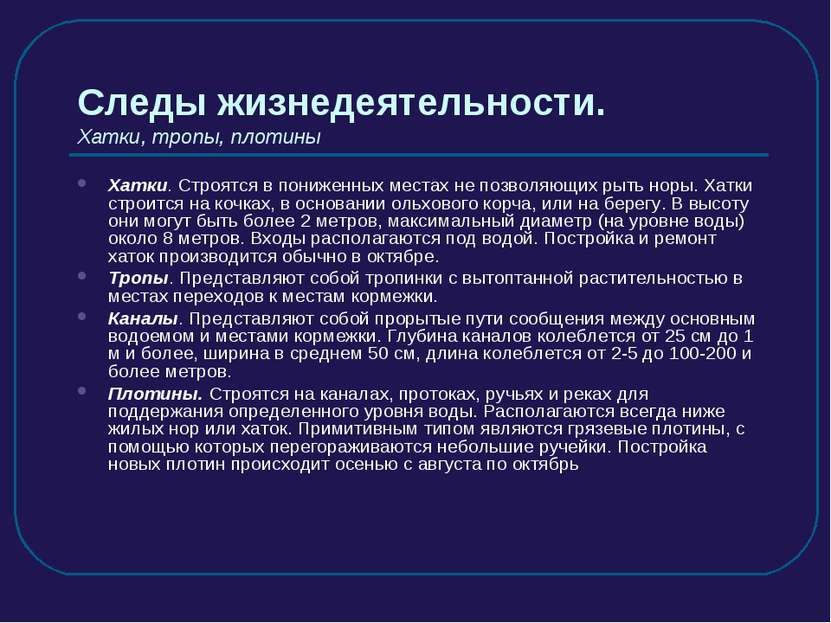 Следы жизнедеятельности. Хатки, тропы, плотины Хатки. Строятся в пониженных м...