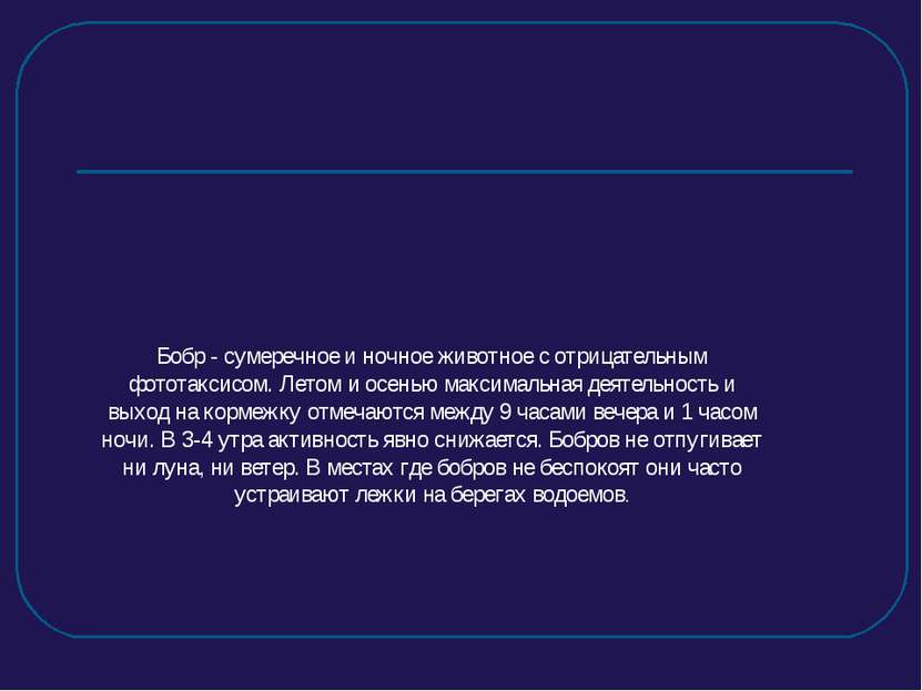 Бобр - сумеречное и ночное животное с отрицательным фототаксисом. Летом и осе...