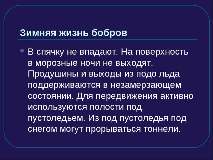 Зимняя жизнь бобров В спячку не впадают. На поверхность в морозные ночи не вы...