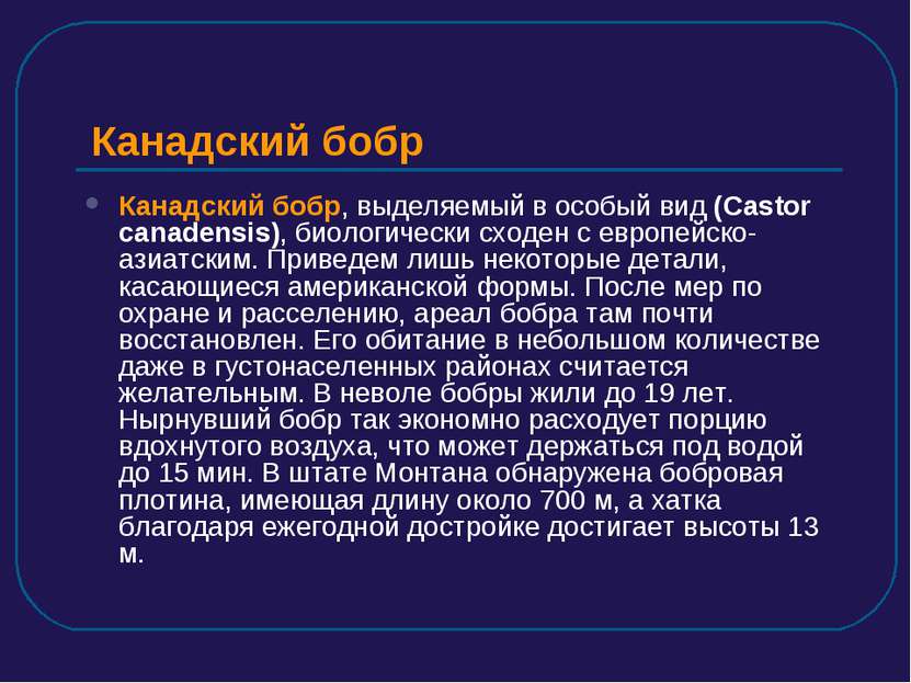 Канадский бобр Канадский бобр, выделяемый в особый вид (Castor canadensis), б...