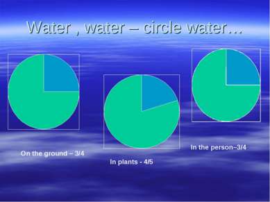 Water , water – circle water… On the ground – 3/4 In plants - 4/5 In the pers...