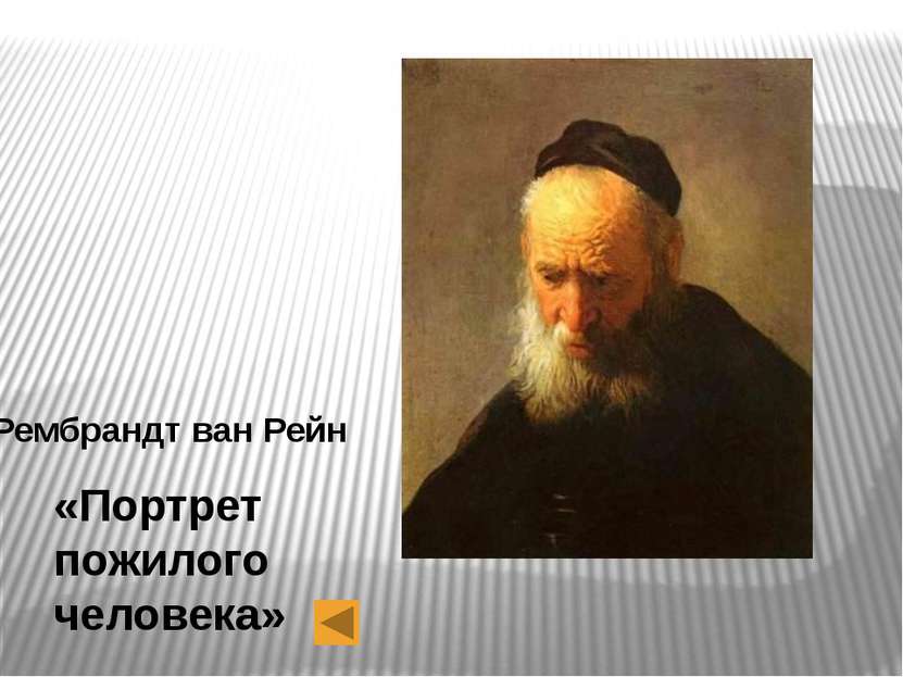 Рембрандт ван Рейн «Портрет пожилого человека»