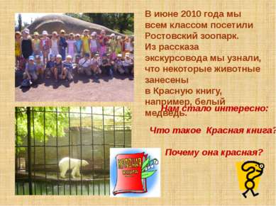 В июне 2010 года мы всем классом посетили Ростовский зоопарк. Из рассказа экс...