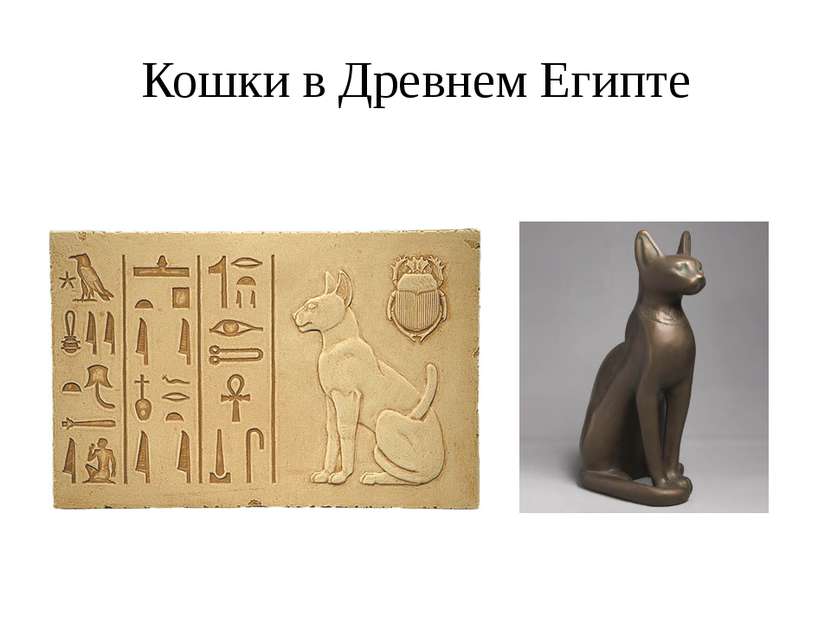 Кошки в Древнем Египте