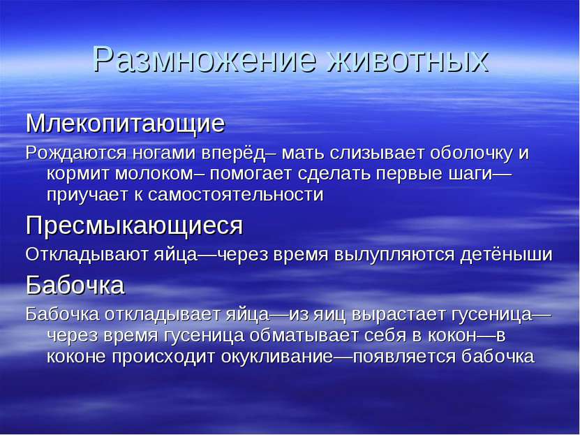 Размножение животных Млекопитающие Рождаются ногами вперёд– мать слизывает об...