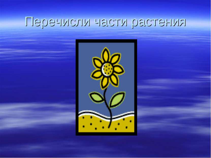 Перечисли части растения