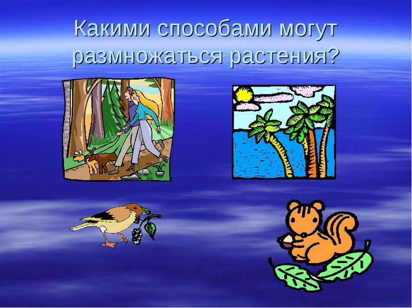 Какими способами могут размножаться растения?