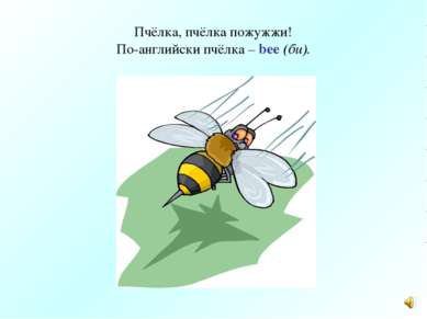 Пчёлка, пчёлка пожужжи! По-английски пчёлка – bee (би).
