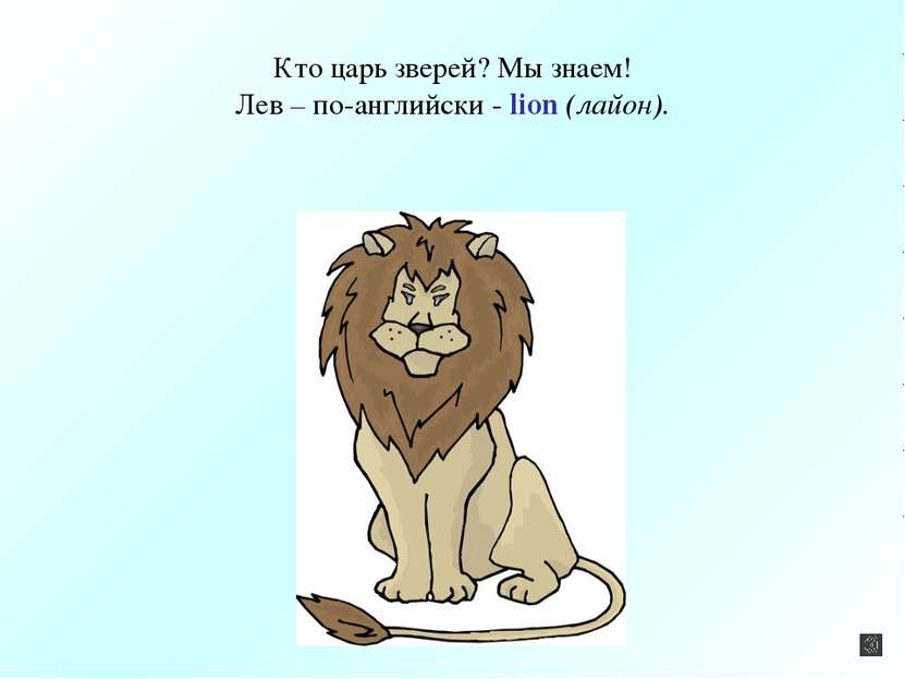 Кто царь зверей? Мы знаем! Лев – по-английски - lion (лайон).