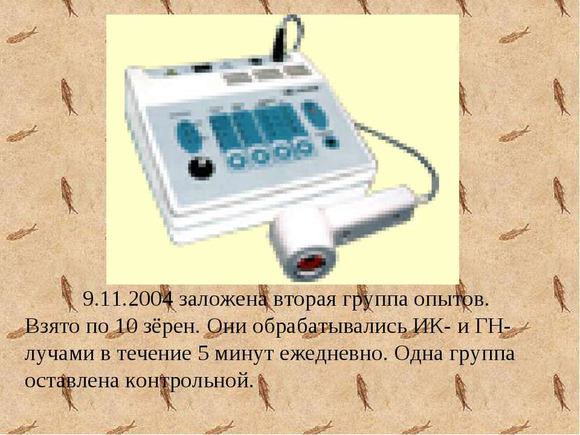 9.11.2004 заложена вторая группа опытов. Взято по 10 зёрен. Они обрабатывалис...