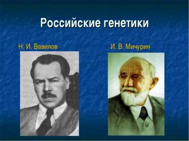 Российские генетики Н. И. Вавилов И. В. Мичурин