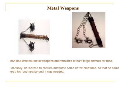 Metal Weapons Man had efficient metal weapons and was able to hunt large anim...