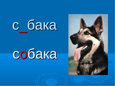 с_бака собака